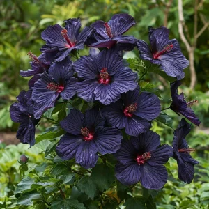 Гибискус Мэджик Момент купить по цене от 699р. в интернет-магазине «Посадика» с доставкой почтой в в Ржеве и по всей России – [изображение №1].